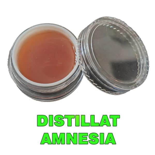 Distillat Amnésia
